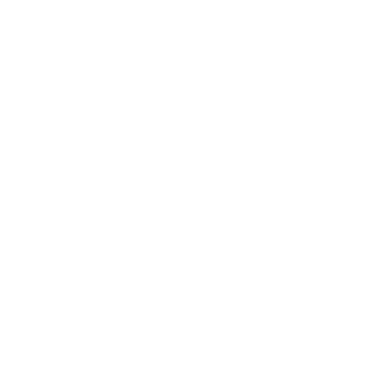 Black Effect Network